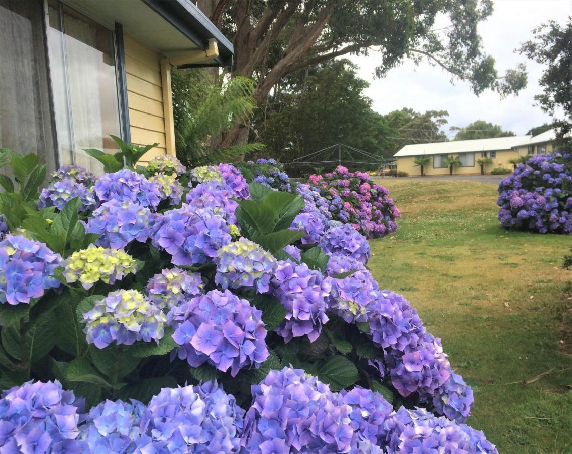 Marsden Court Apartments Now Incorporating Marsden Court And Sharonlee Strahan Villas Eksteriør bilde
